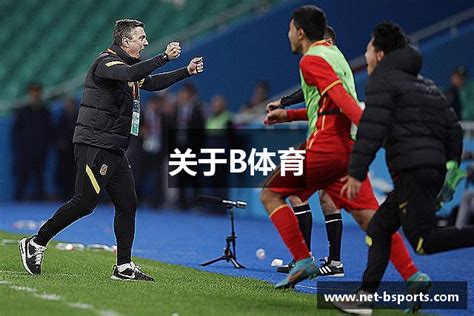 辅助工具 悟空体育